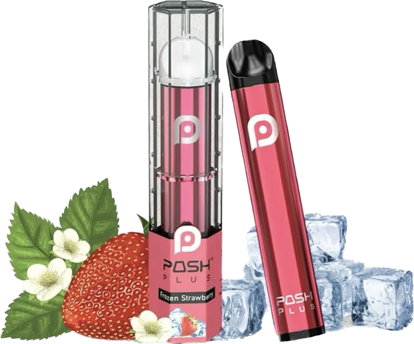 POSH PLUS BOX