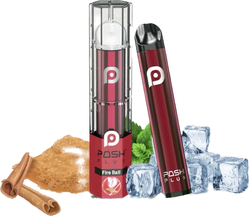POSH PLUS BOX
