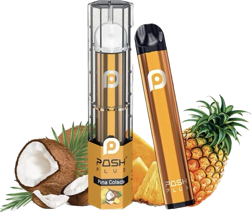 POSH PLUS BOX
