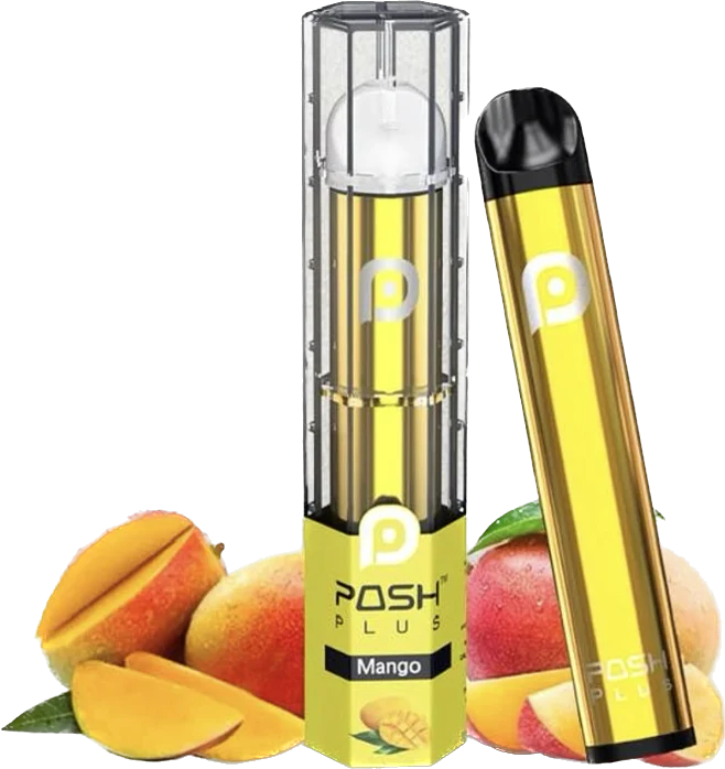 POSH PLUS BOX